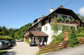 Apartmaji Rabič